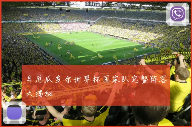 年厄瓜多尔世界杯国家队完整阵容大揭秘